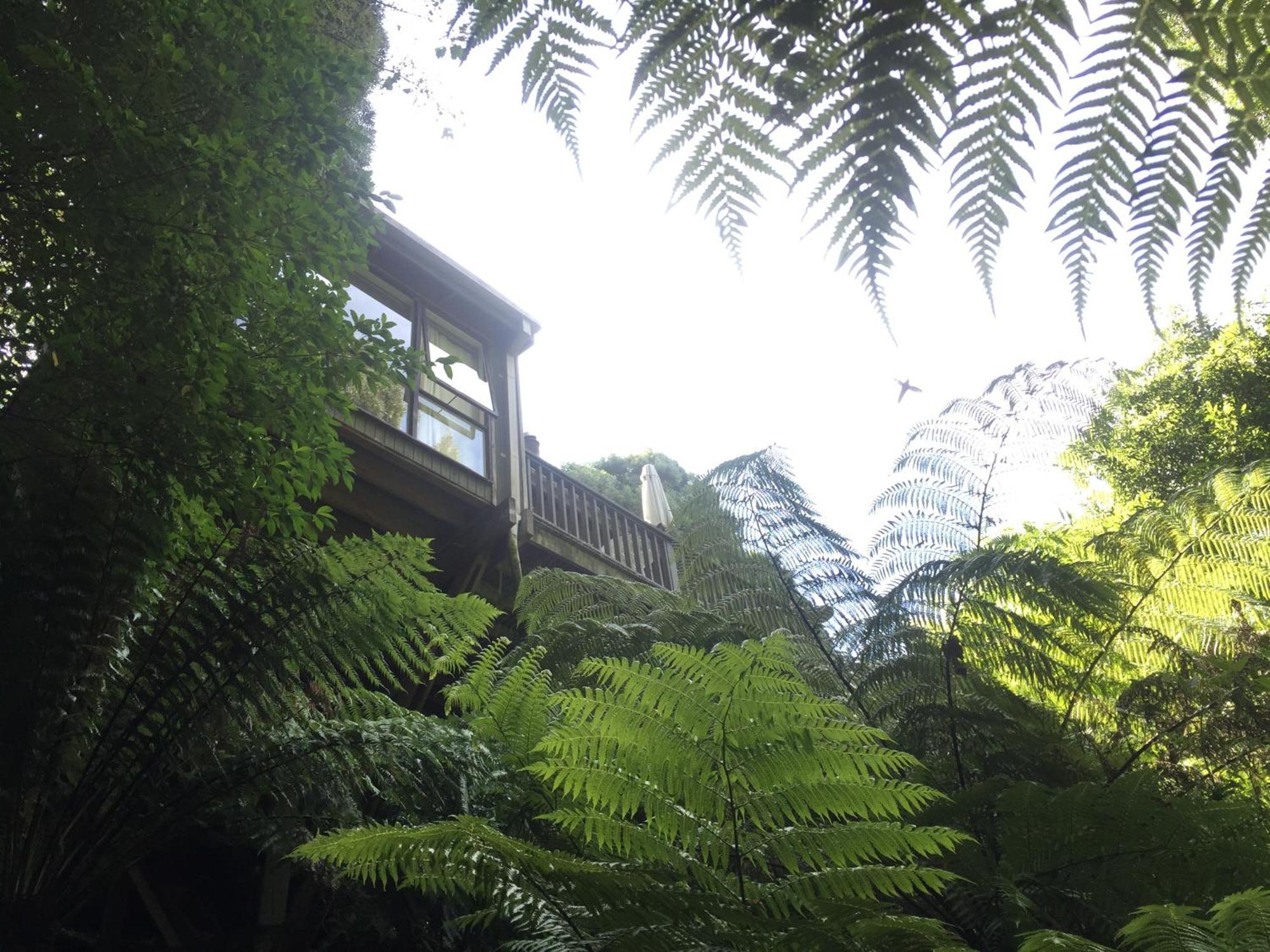 Sassafras Treehouse Private Home In The Dandenong Ranges, Victoria Exterior foto