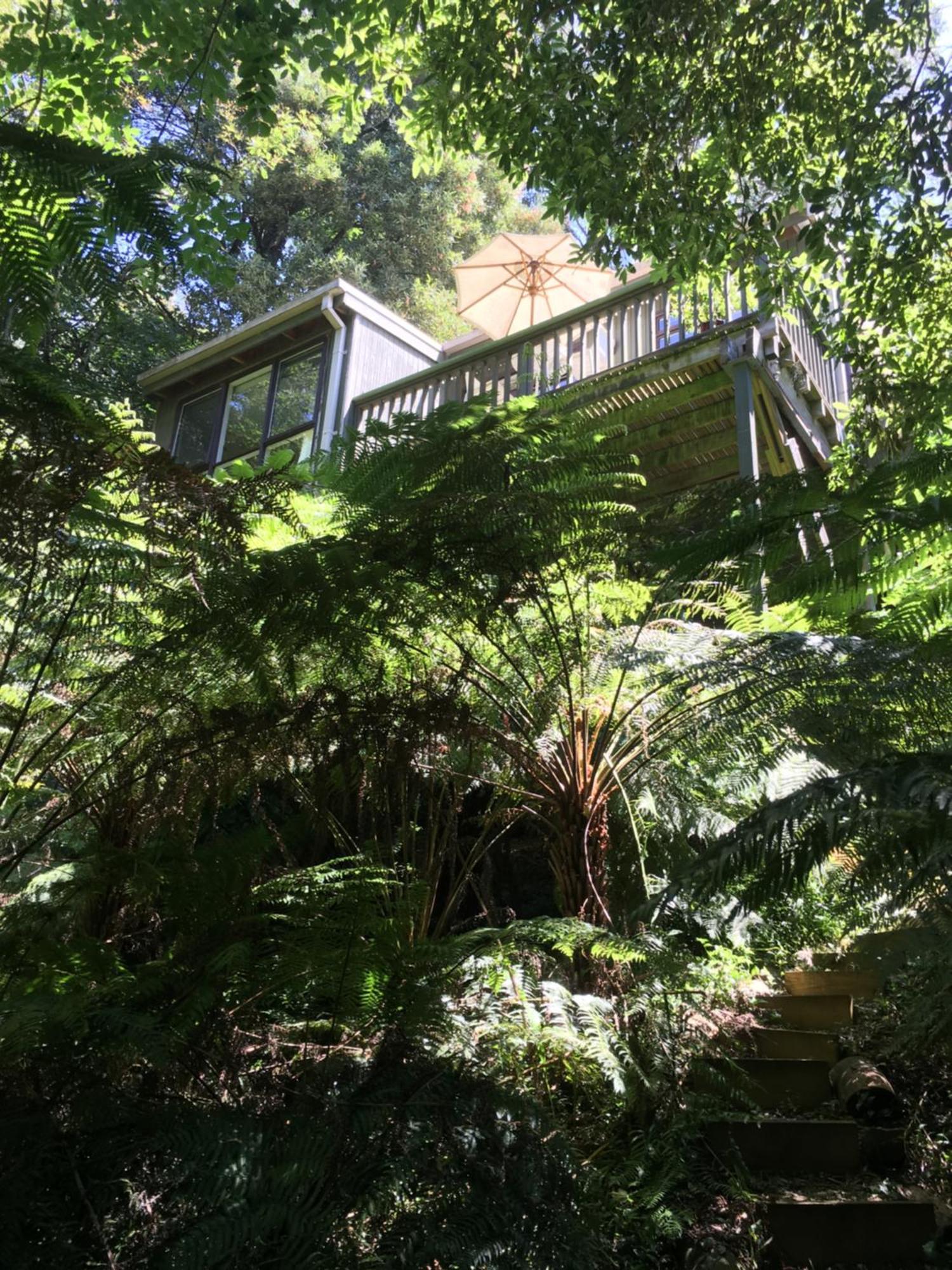 Sassafras Treehouse Private Home In The Dandenong Ranges, Victoria Exterior foto