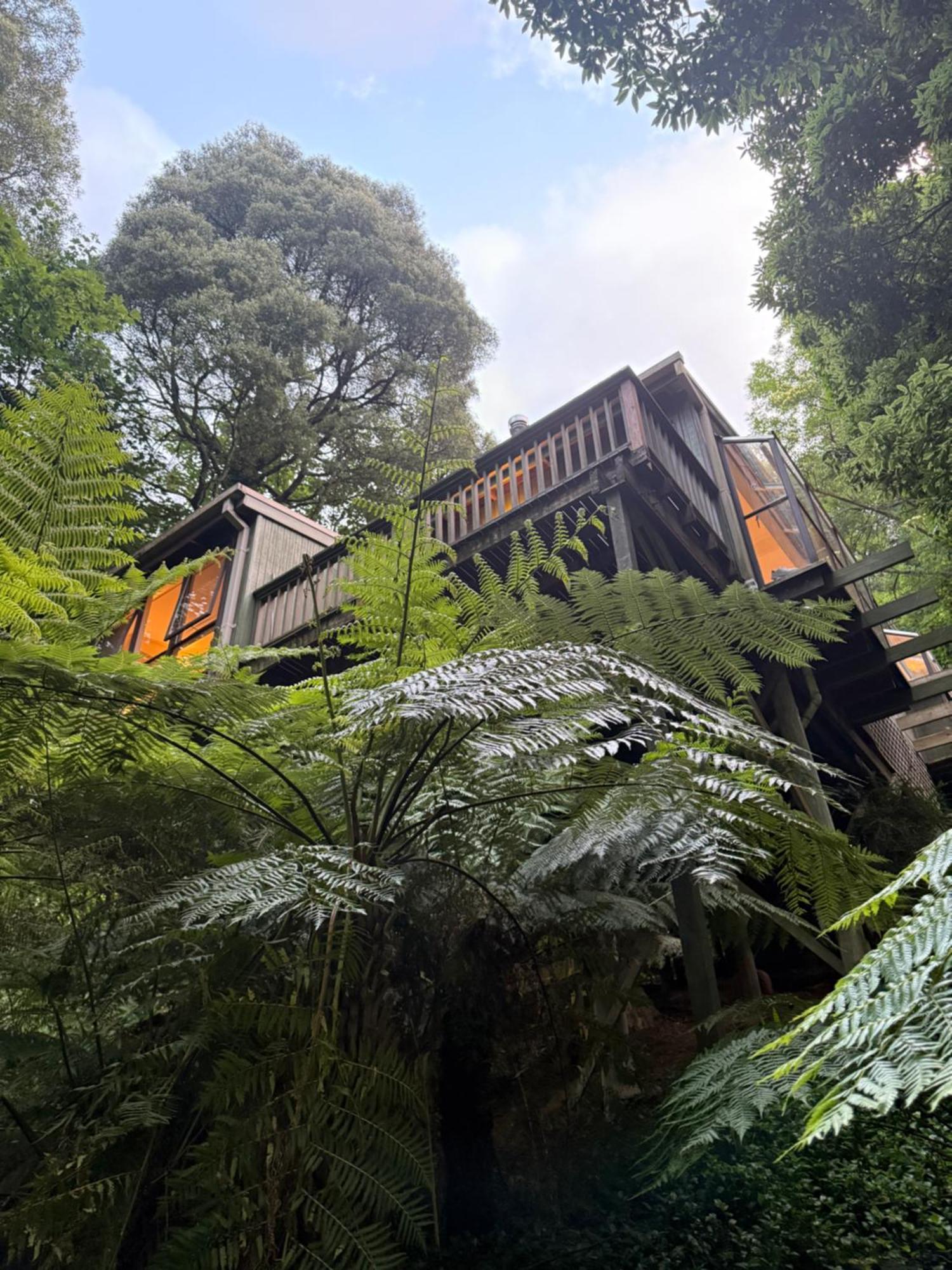 Sassafras Treehouse Private Home In The Dandenong Ranges, Victoria Exterior foto